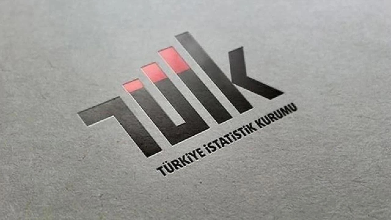 TÜİK 2025 Yılı Sanayi Ve Hizmet İstatistiklerini Açıkladı