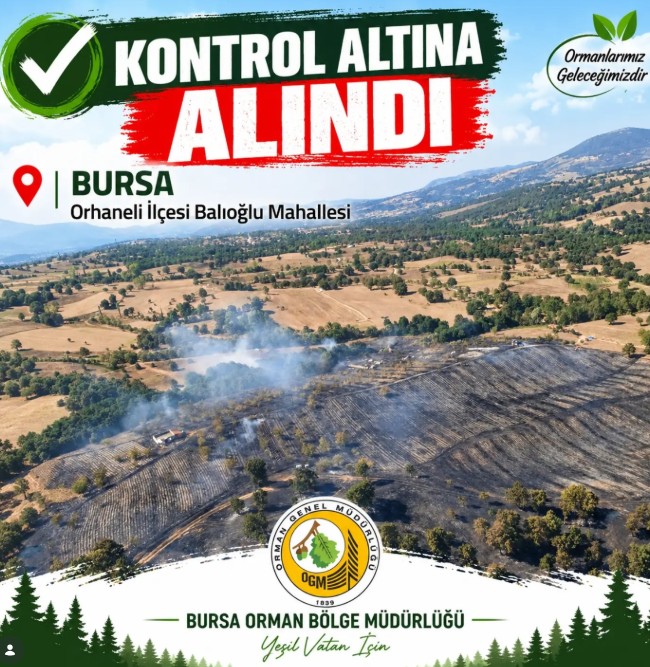 Bursa’da Orman Yangını Havadan Ve Karadan Müdahaleyle Kontrol Altına Alındı