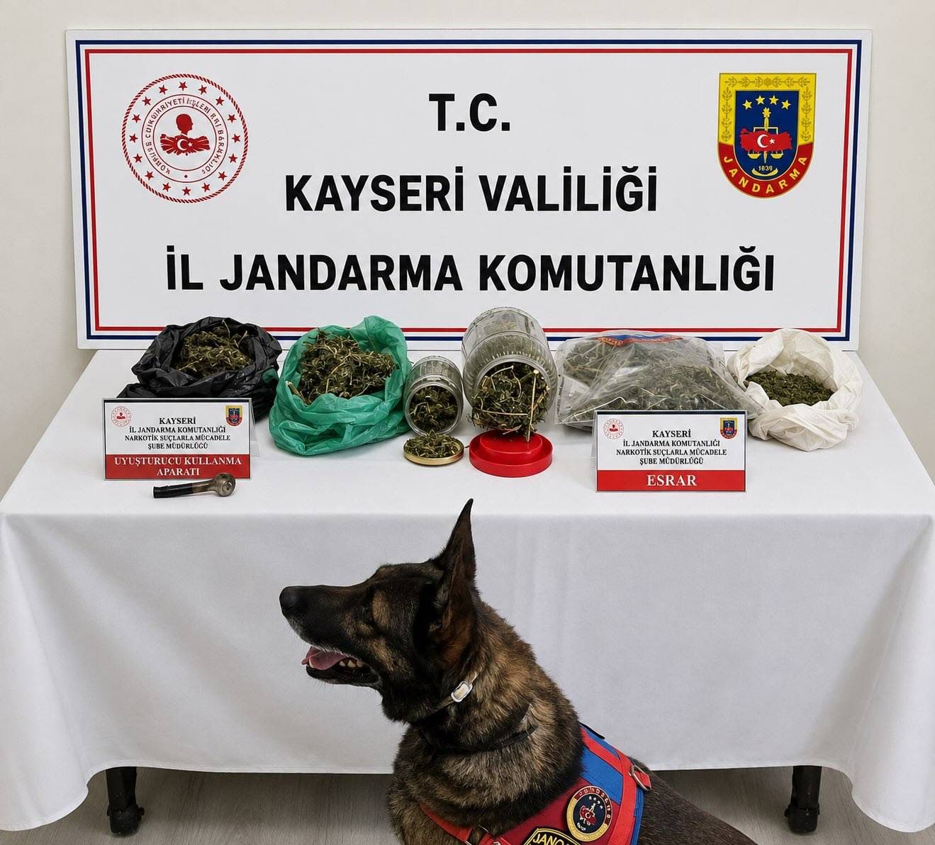 Kayseri’de Uyuşturucu Operasyonu: 1 Şüpheli Yakalandı