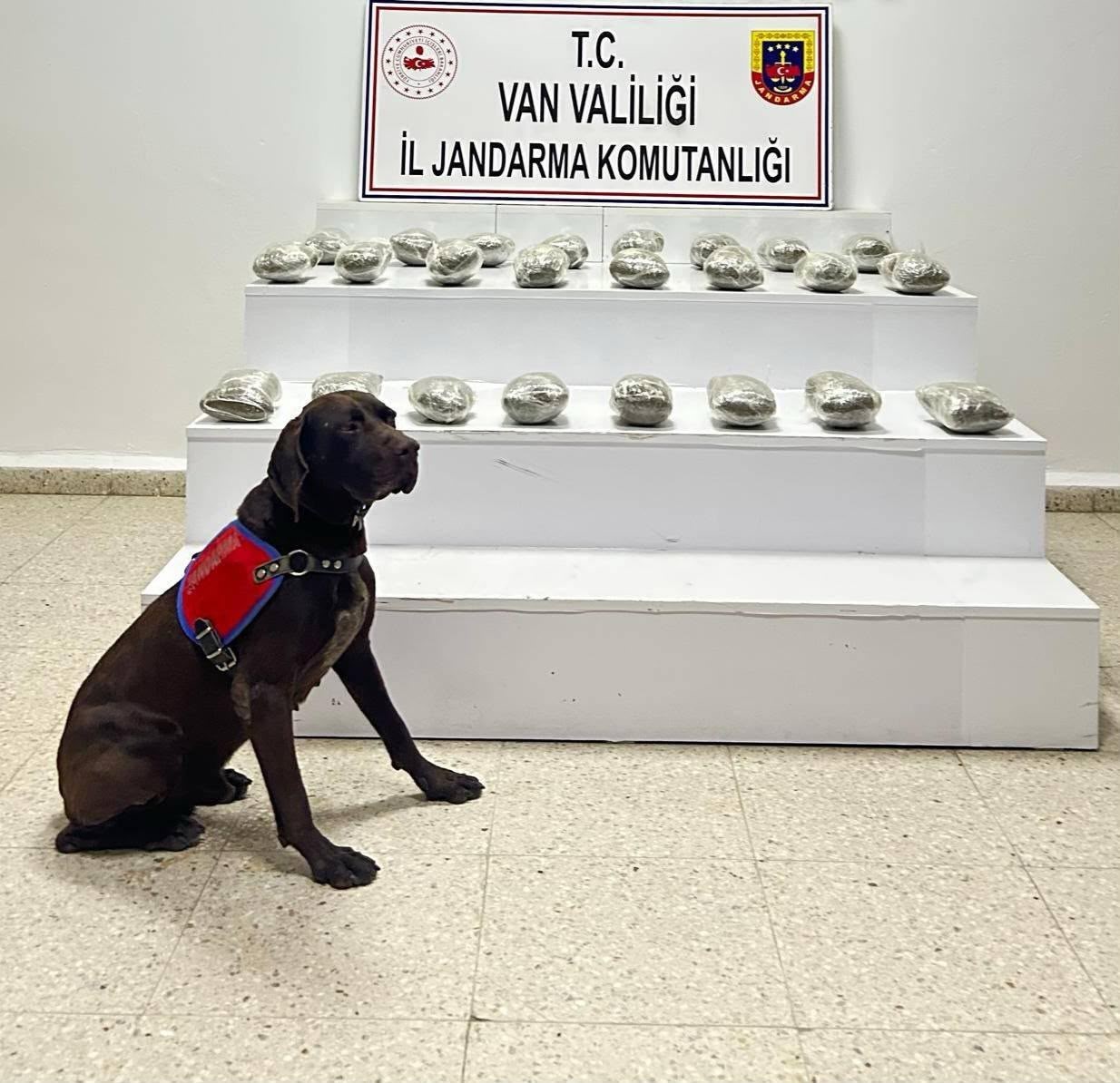 Başkale’de 10 kilo toz esrar ele geçirildi