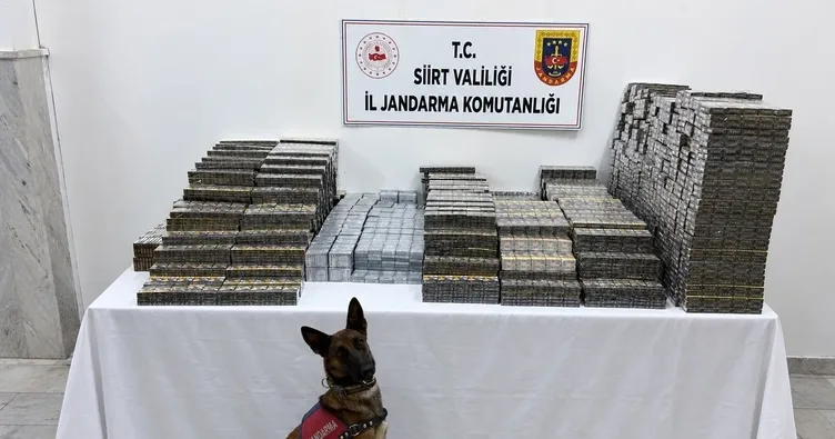 Siirt’te Kömür Çuvallarına Gizlenmiş 10 Bin 250 Paket Kaçak Sigara Ele Geçirildi